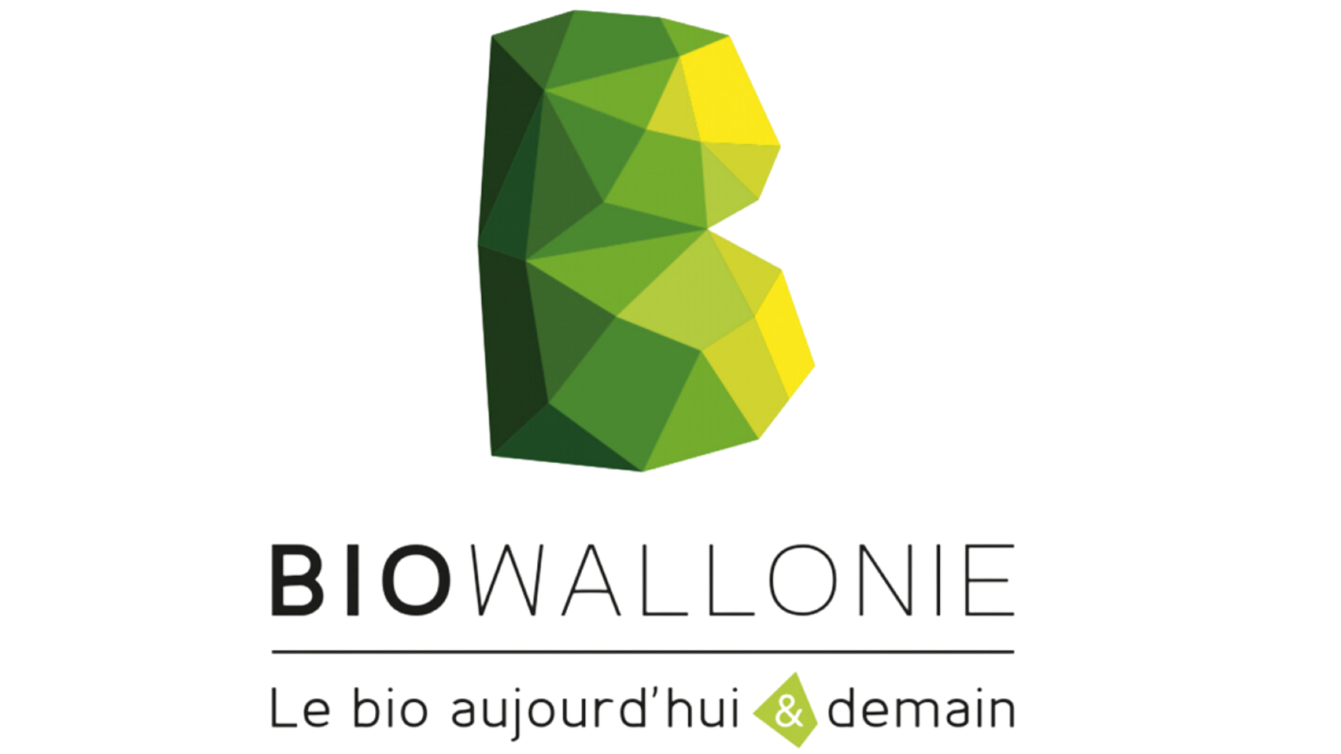 Graphisme site web (90)